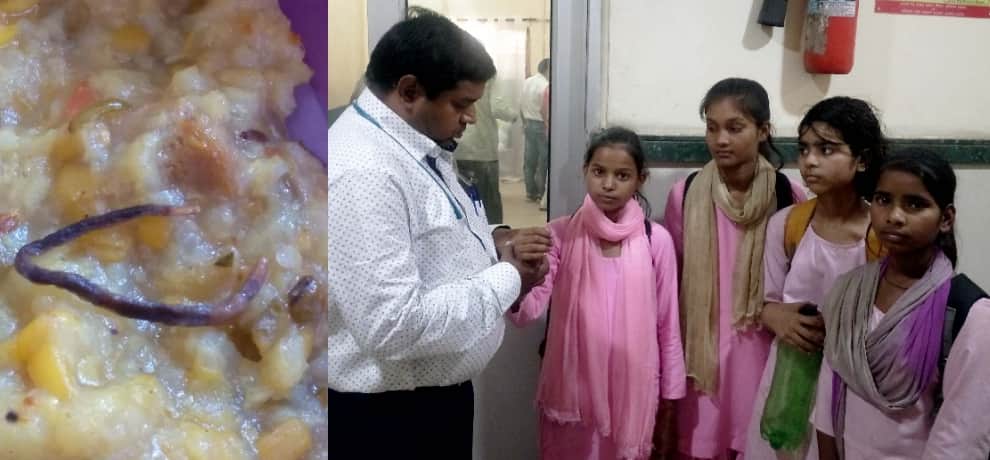 snake found in mid day meal in faridabad