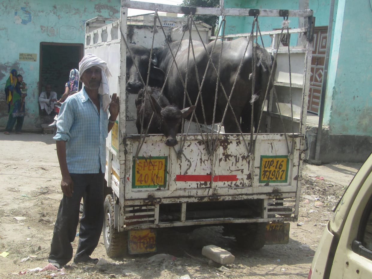 9 family leave their village