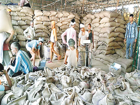 Farmers growing at wheat procurement centers due to falling prices