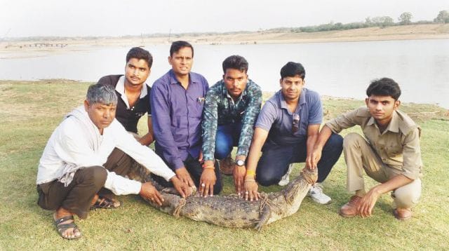 crocodile in the house, whole night passed in fear in agra
