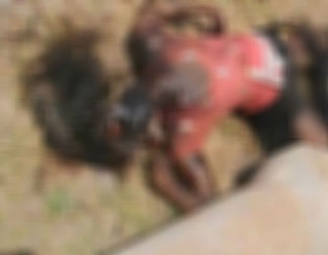 Woman raped, her body found mutilated in Rohtak.