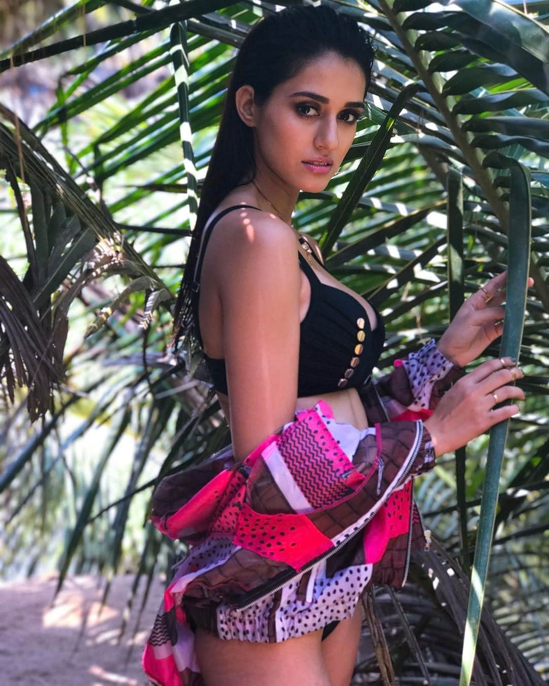Disha Patani wants to go on a dinner date with Beyonce on new year