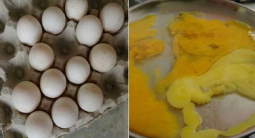 best tips of recognising plastic egg