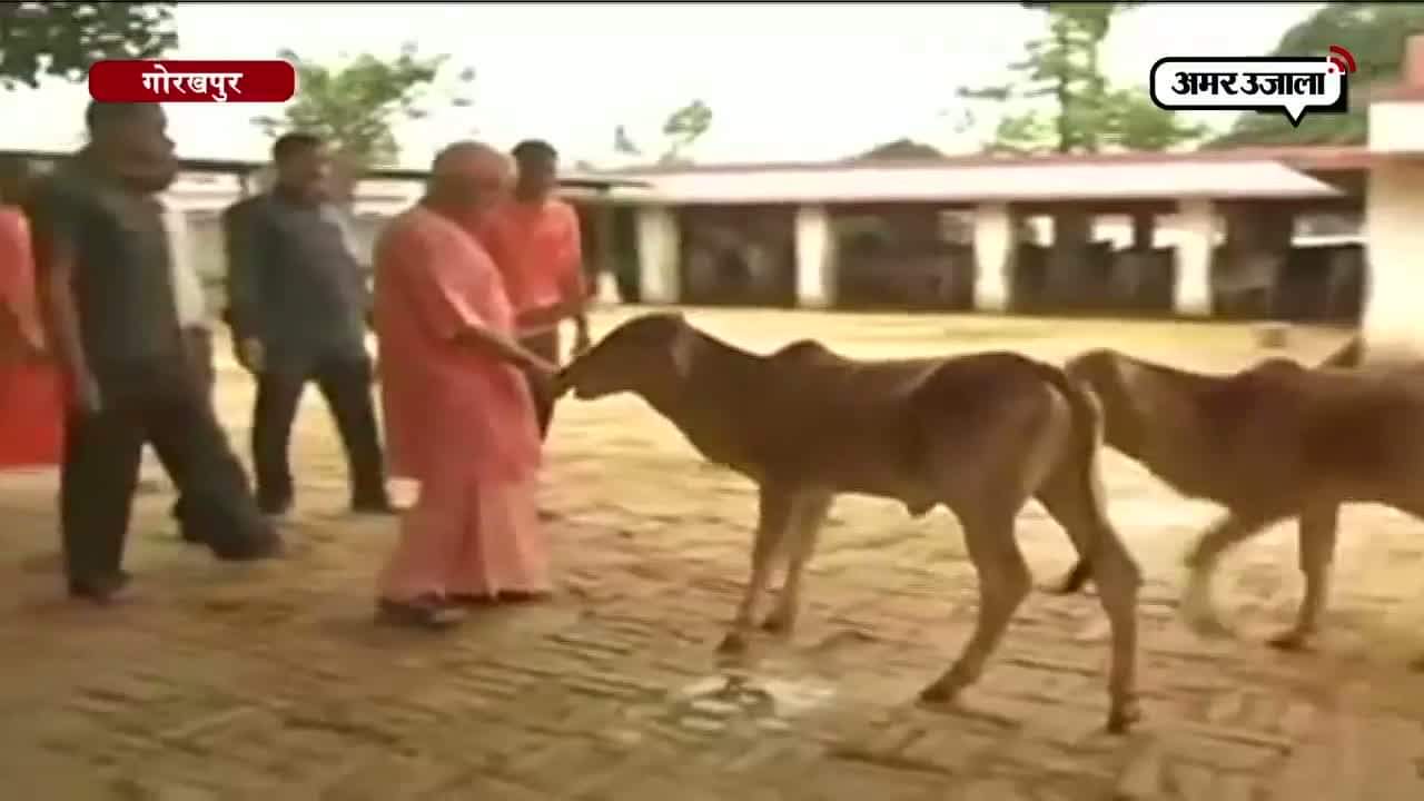 गोरखपुर 