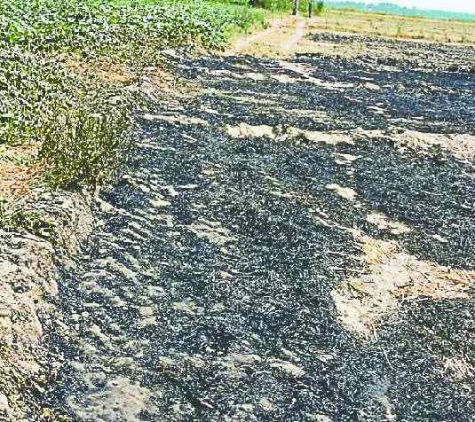 Churning on the Haryana-UP border dispute