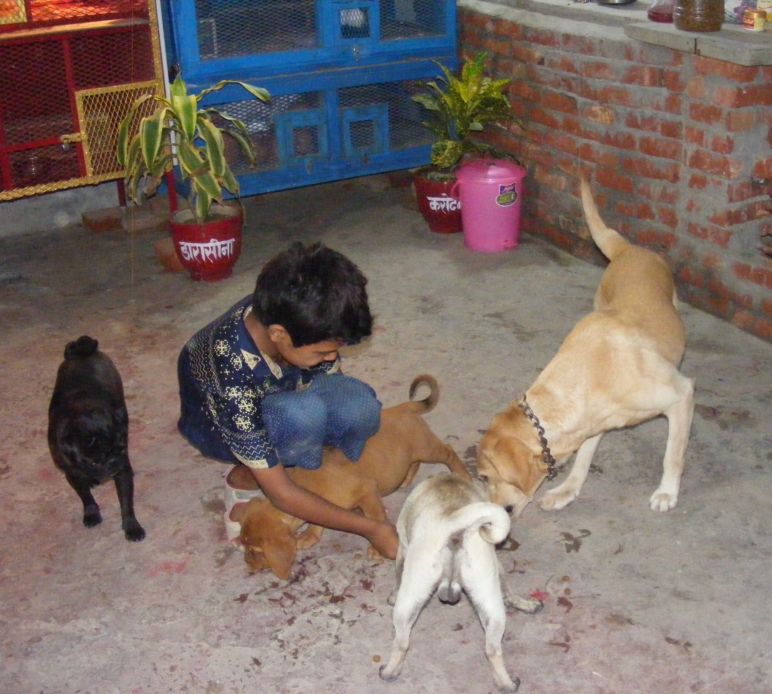 To love so much to animals, the house itself made mini zoo ....