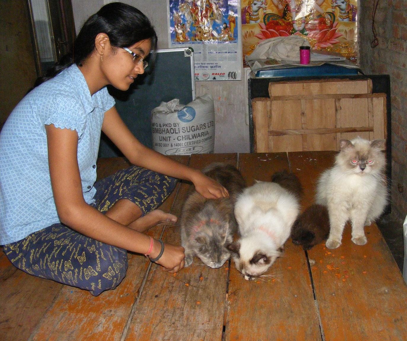 To love so much to animals, the house itself made mini zoo ....