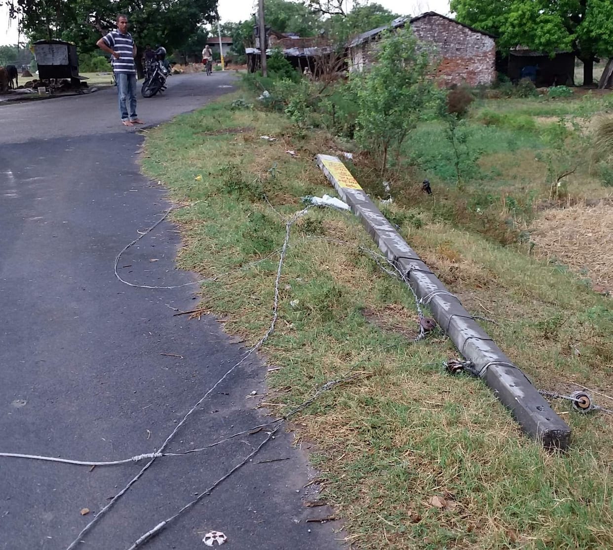Tremendous fall in the typhoon, the death of the woman