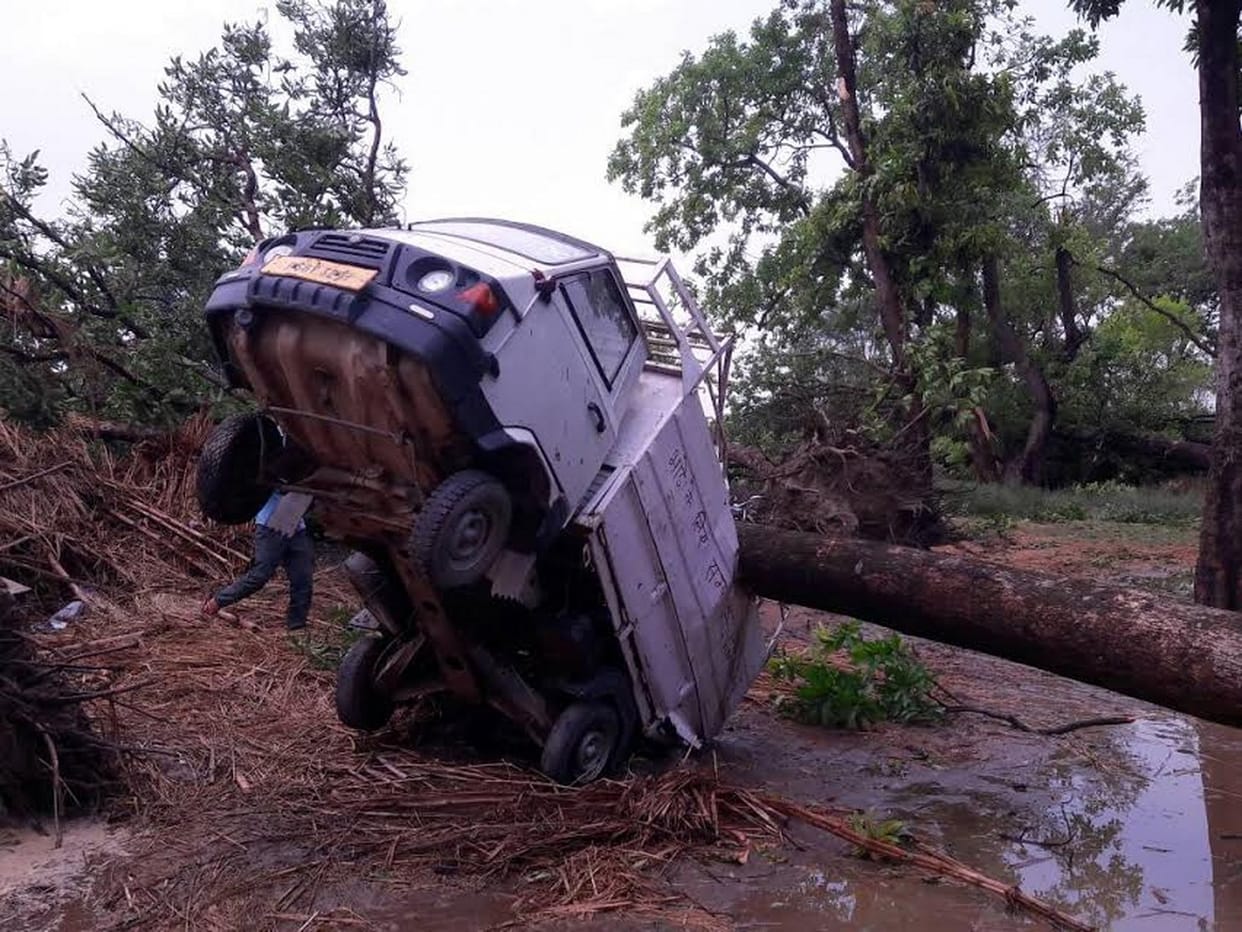 in thunder, Four dead, including ex BDC member