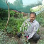 सदाबहार आम के साथ किशन