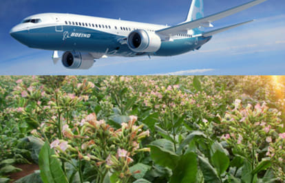 The first Flight Using Fuel From Tobacco