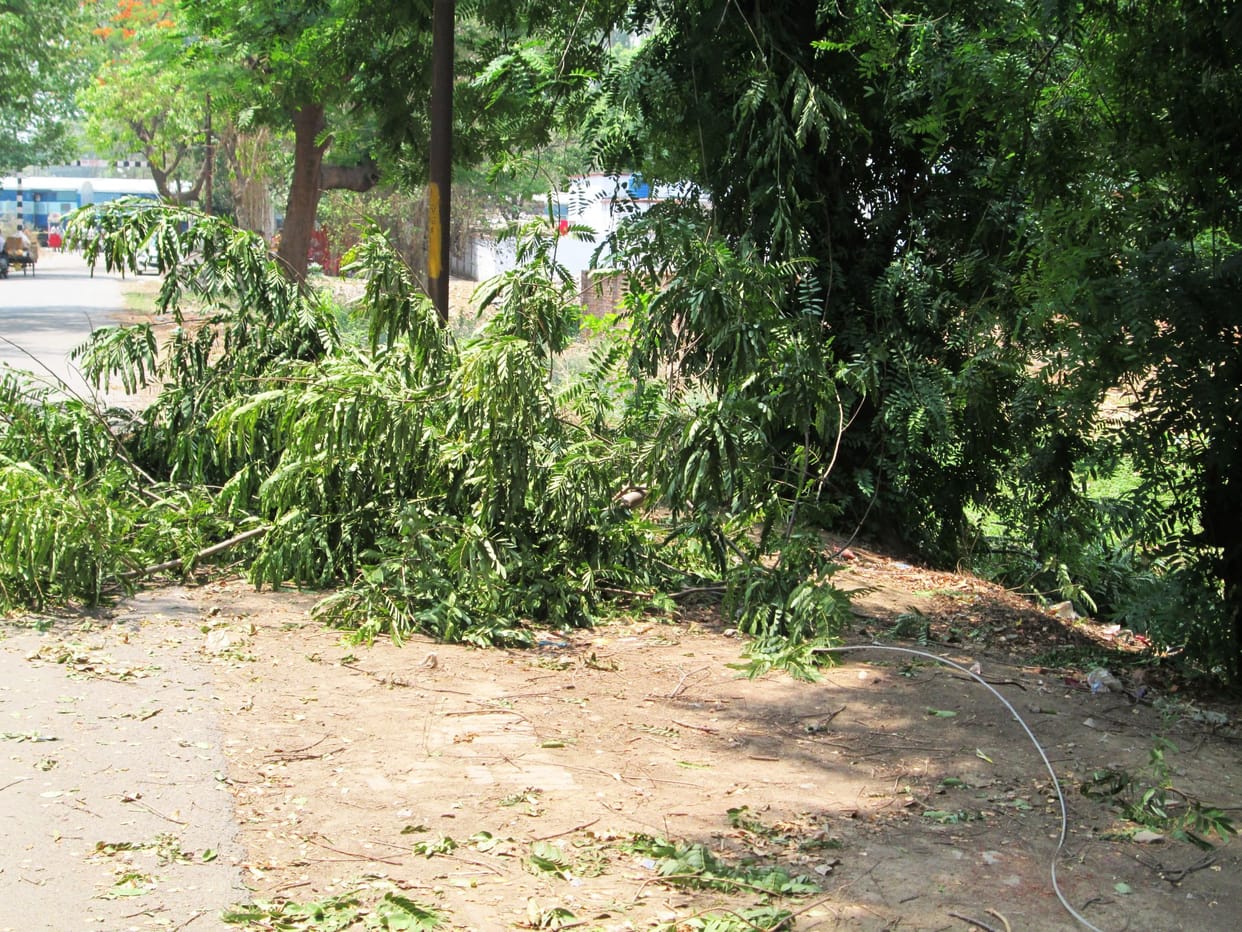 Broken storm winds, lives affected by havoc