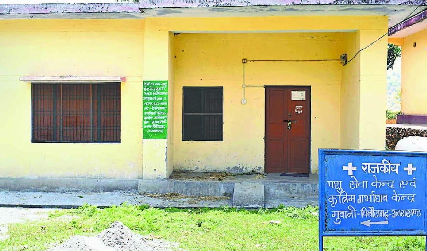 Five-month lock lock in Mavani Animal Hospital