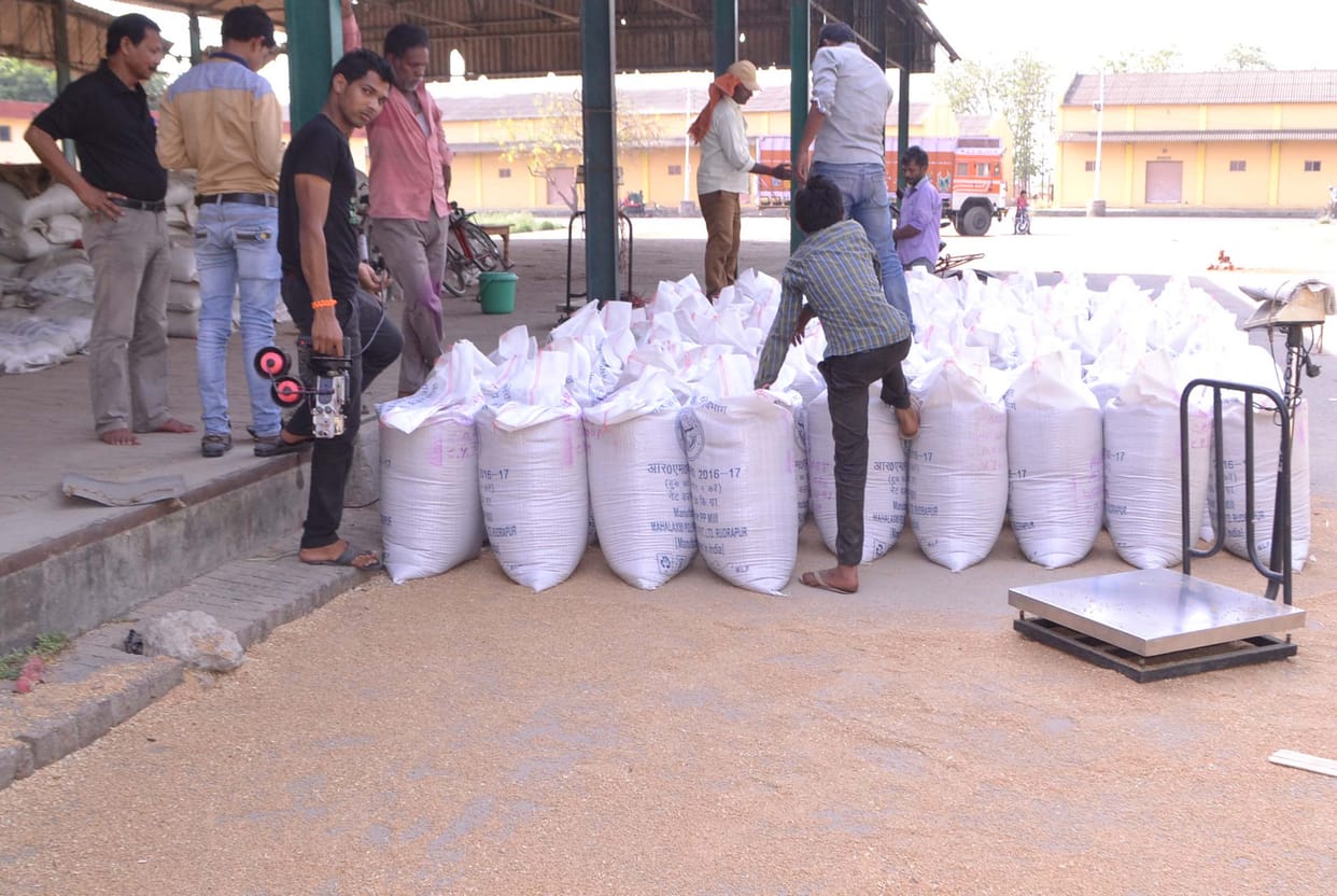 Government wheat procurement will now be done on Sunday