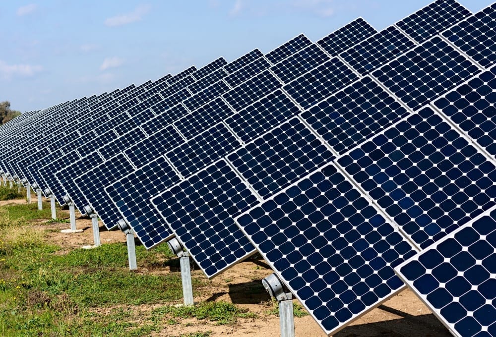 fraud in trees cut for solar plant