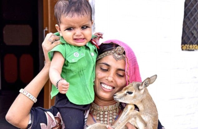 Women of Vishnoi Samaj feeding deer