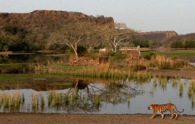Ranthambore National Park