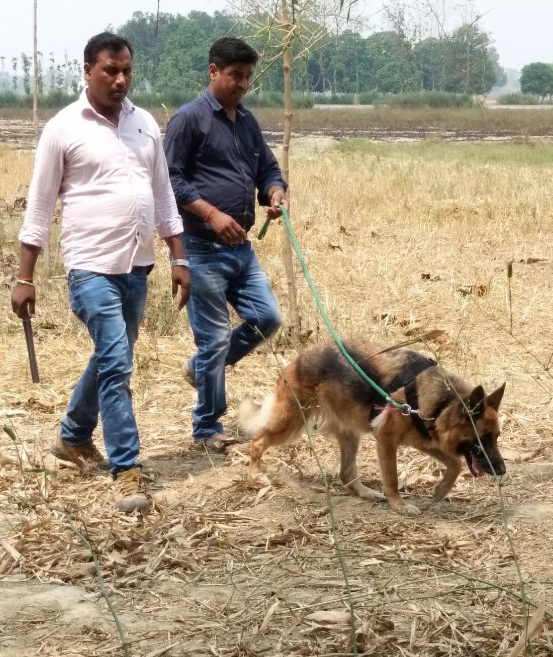 Cruelty of slaughterers