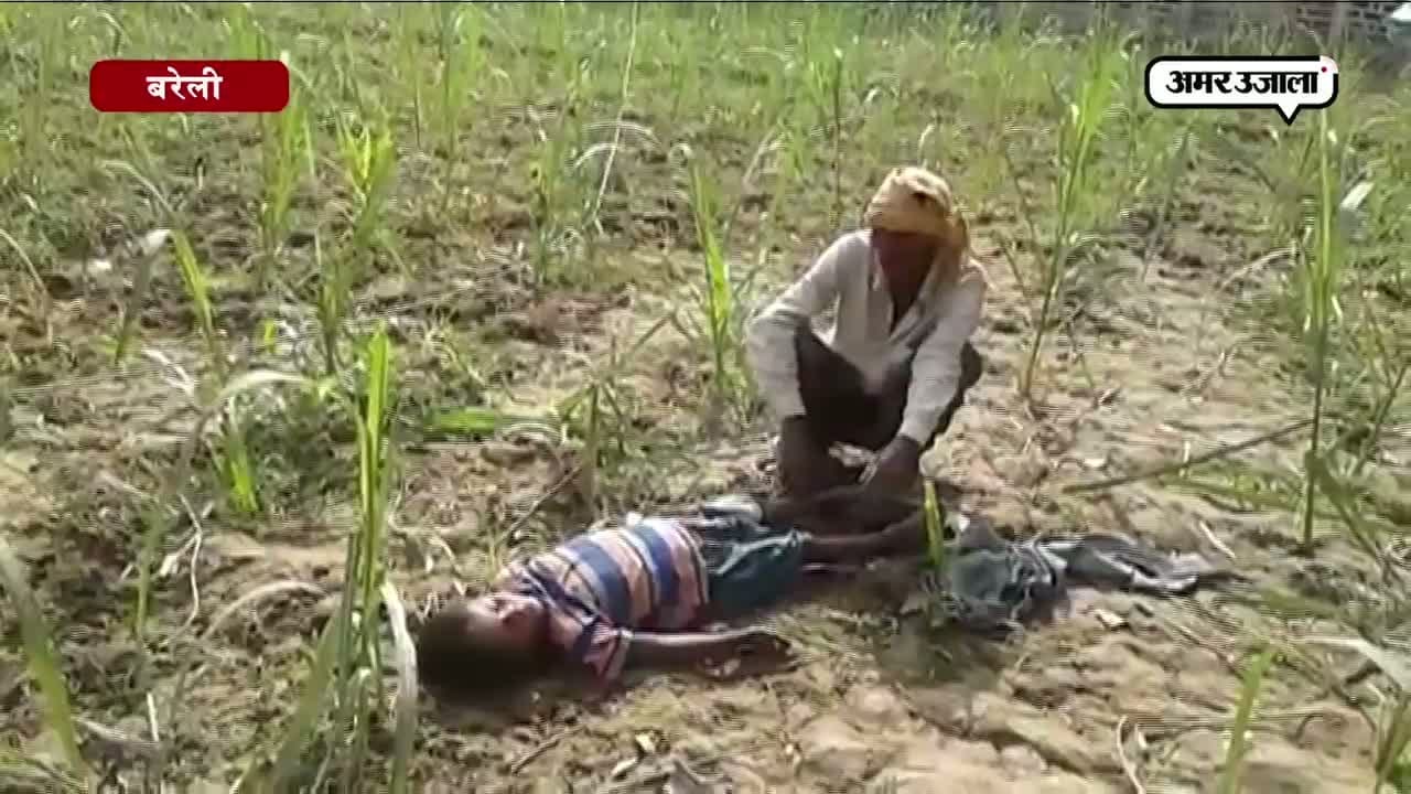 बरेली 