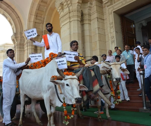 BJP MLA reachers vidhansabha lucknow on a bullockcart.