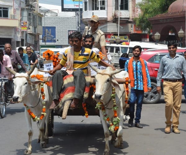 BJP MLA reachers vidhansabha lucknow on a bullockcart.