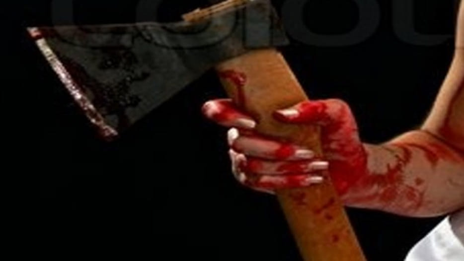 daughter in law killed his father