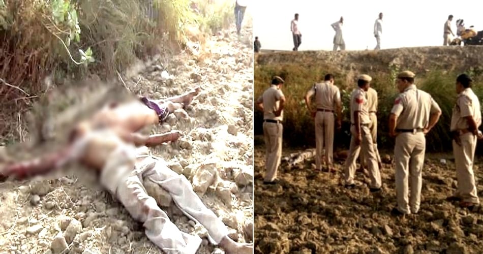 murder of father and son in rohtak
