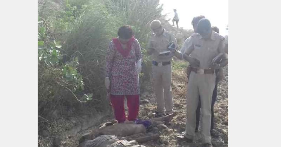 murder of father and son in rohtak