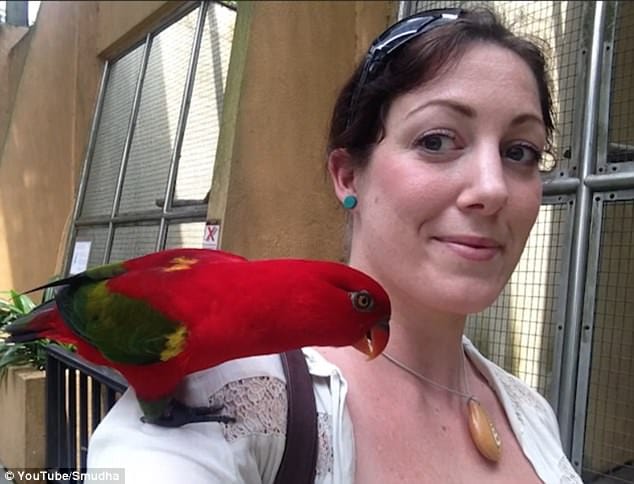 engagement ring was sealed in wooden necklece
