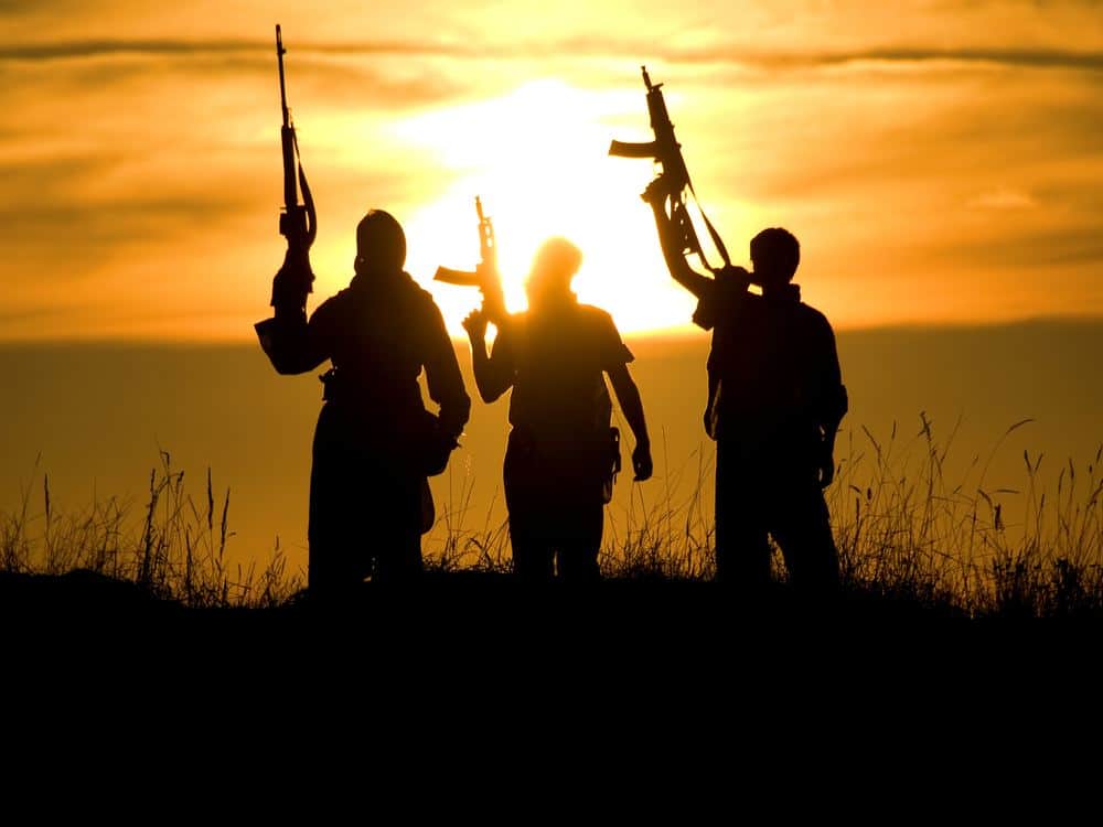 truth of terrorist danish connection to hizbul mujahideen 