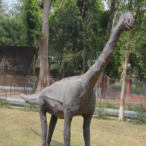 Now the Gandhi Bagh will be seen in the new look, see photos