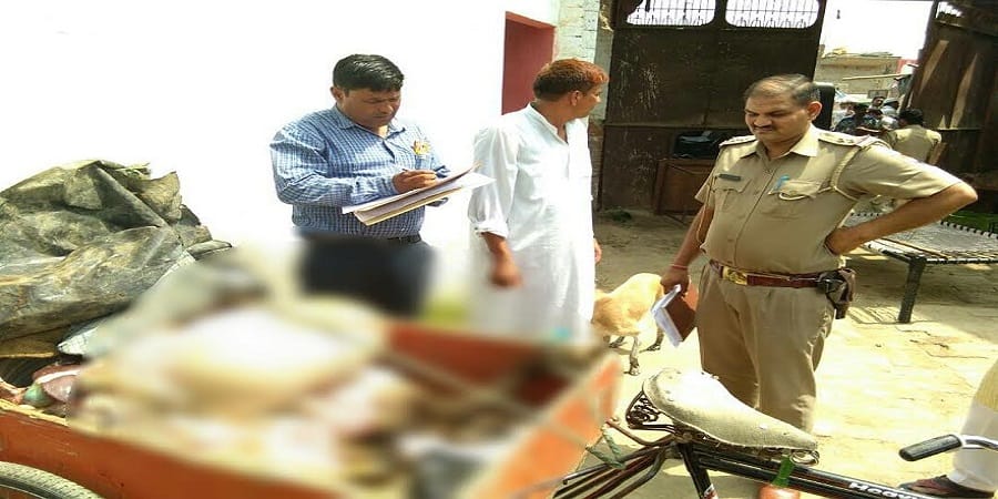 Illegally, cattle sells and sells 200 kg of meat, police raid