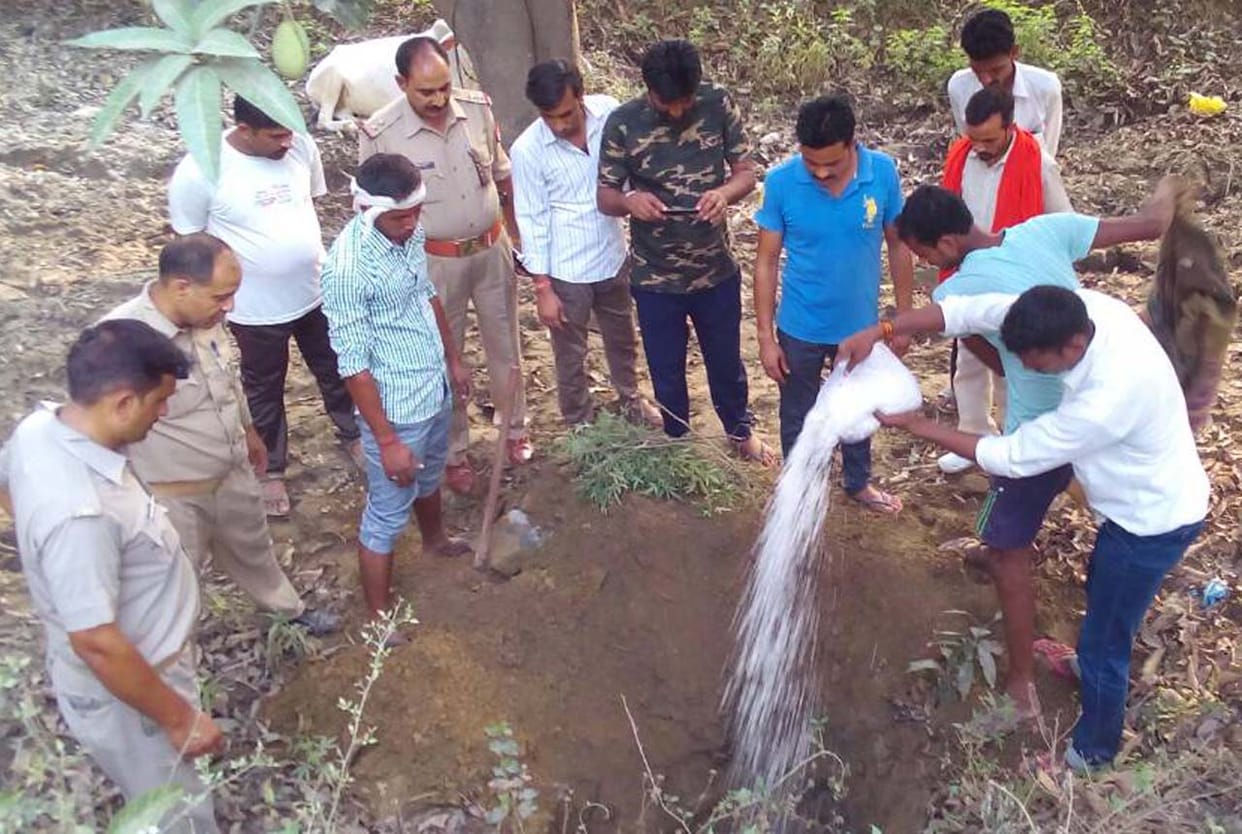 Trouble in Palwada by cow skin.