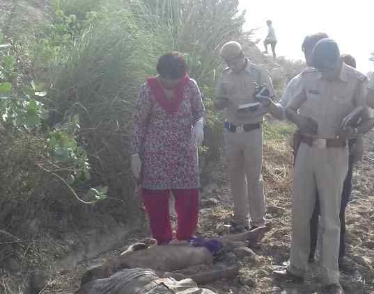 Fatether And Son Double Murder In Rohtak, crime, haryana, rohtak