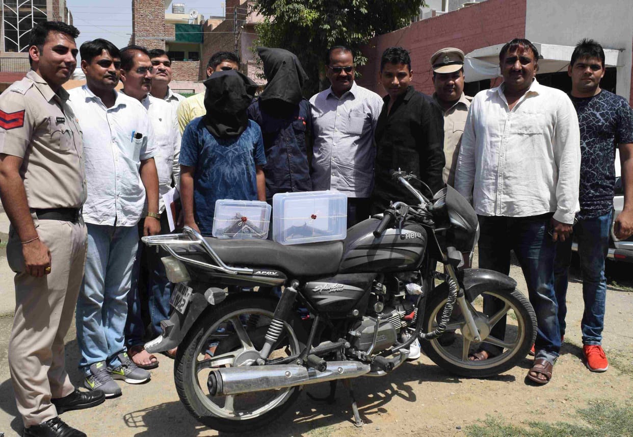 One killed, undertrial among six hurt in firing outside Rohtak court, arrest, rohtak