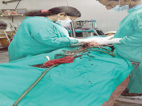 Pregnant life survivors from doctors' awareness