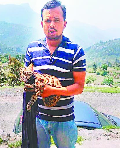 Wanderer from the forest to the population