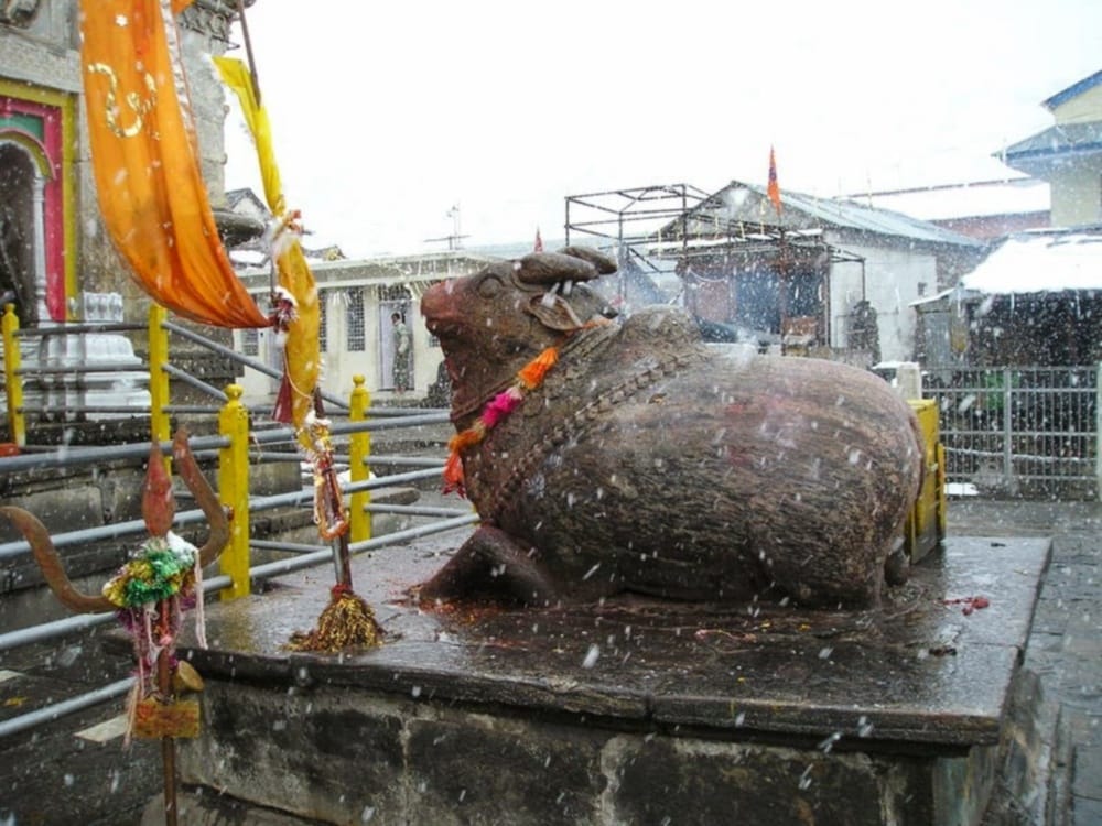 Center In Action On Char Dham Yatra