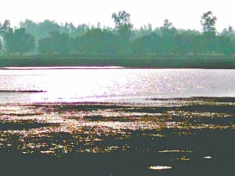 Lake of Lake Lake Heavy metals found in