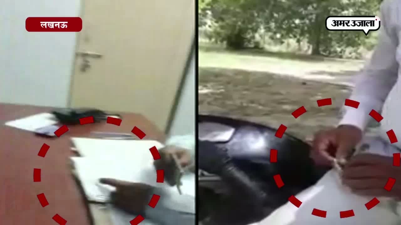 लखनऊ