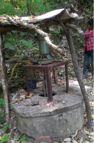 Tree found water