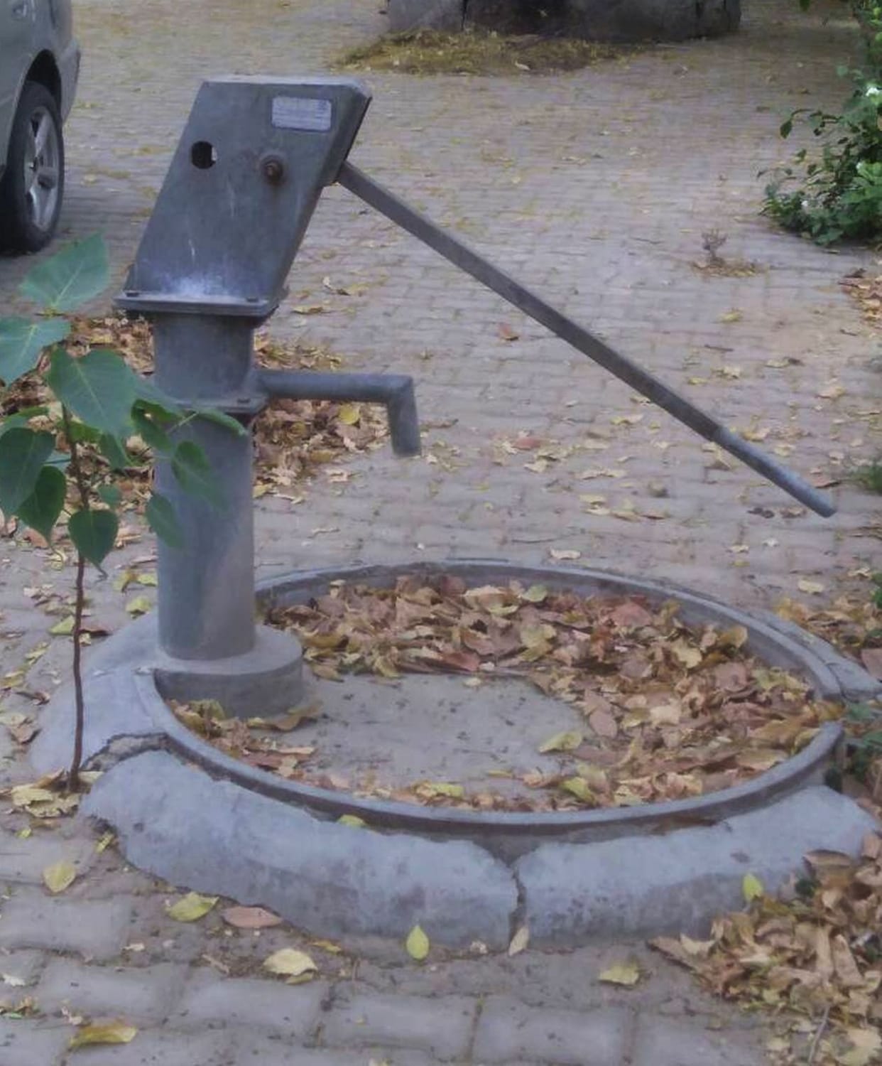 City-citizen's love for drop-water