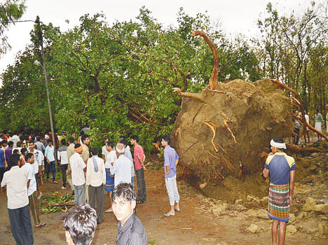 Death toll rises to 5, including innocent