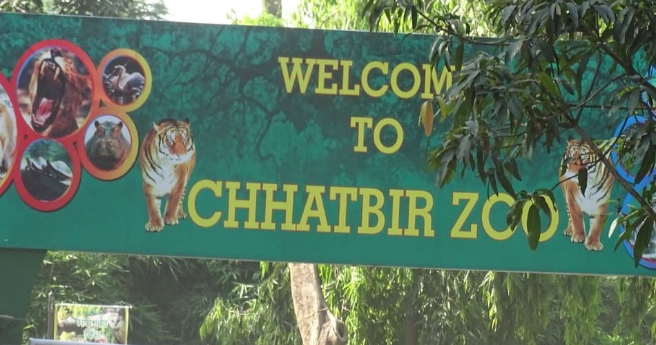  three employee suspended from chatbeer zoo