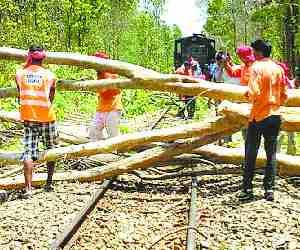Eight deaths due to cyclone and rain