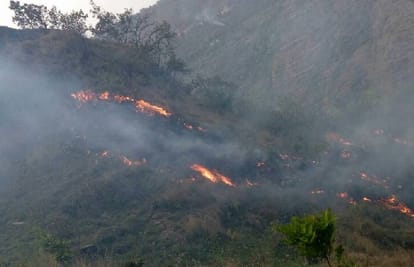 fire in six village including forest minister village