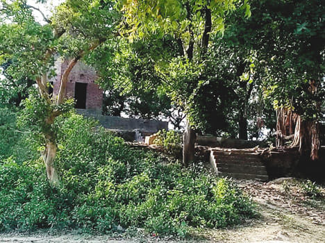 Nipania Baba's ashram collective misdeeds from teenager