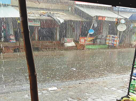moong crop effected due to thunderstorm