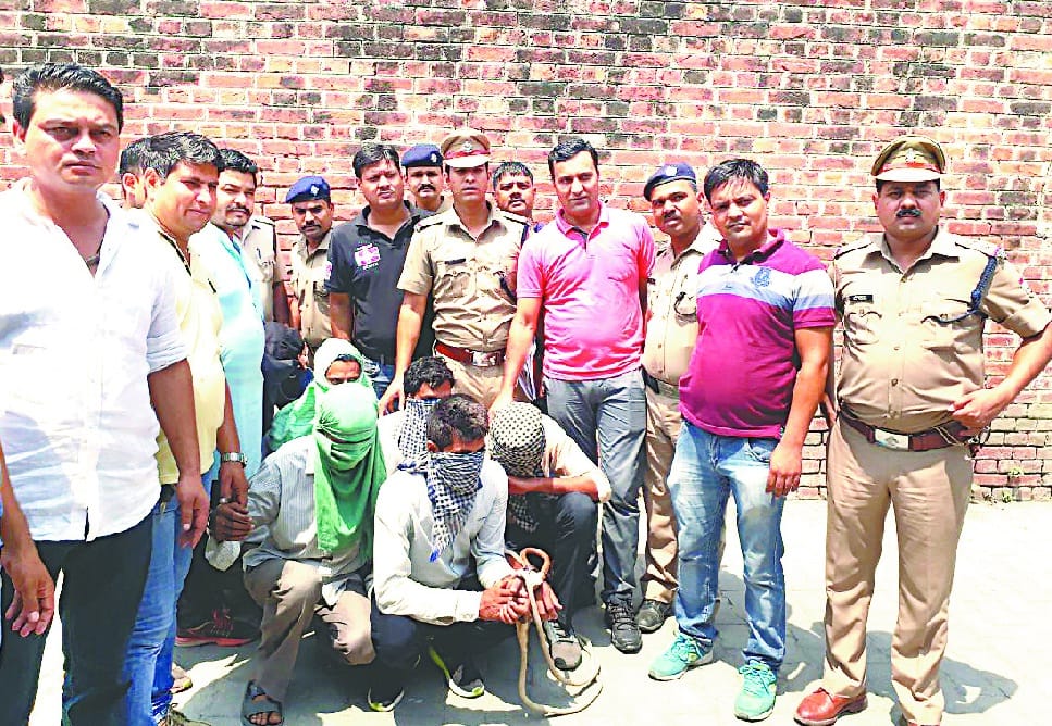  seven robbers arrested 