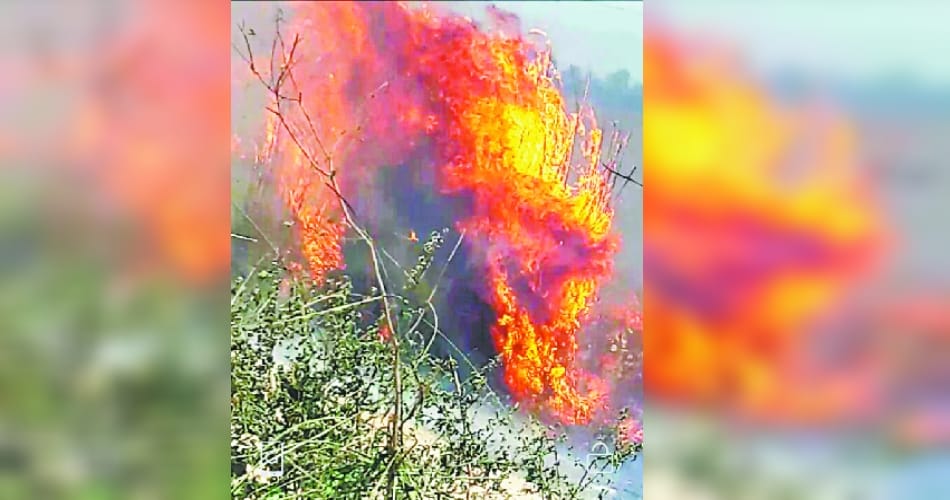  fire at shivalik hills